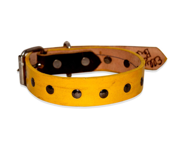 Studded brushed leather pet collar